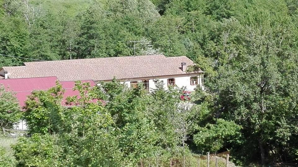 Agriturismo Rio Ricco Busana Exterior photo